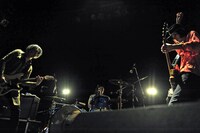 THE GOLDEN WET FINGERS