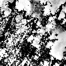 PLASTICZOOMS「RUBBERS」ジャケット