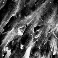 PLASTICZOOMS「BYE.BYE.」ジャケット