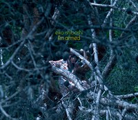 石橋英子「I'm armed」ジャケット