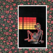 非常階段「蔵六の奇病~30TH ANNIVERSARY EDITION~」ジャケット