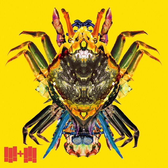 !!!KYONO＋DJBAKU!!!「!!!＋!!![Unknown Music Allianz]」初回限定盤ジャケット