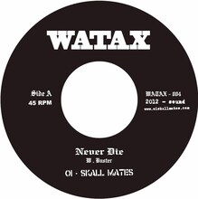 Oi-SKALL MATES「Never Die 7"ep」盤面