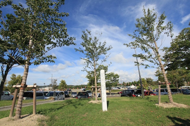 会場敷地内に植樹された桜の木。