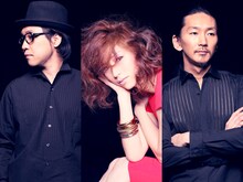 JiLL-Decoy association