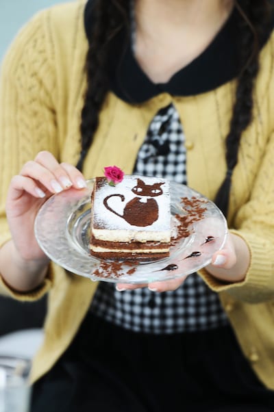 パセラの期間限定メニュー「エイプリル男爵のおっきなティラミス」。