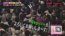 モリサキの取材では、熱い情熱を持ちながら、新規ファンへの配慮も欠かさない紳士的なNegiccoファンの姿もレポート。