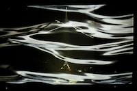 写真はライブDVD「0.7」のワンシーン。