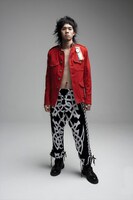 黒猫チェルシーとしては10月17日にニューアルバム「HARENTIC ZOO」をリリースする渡辺大知。