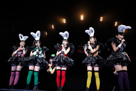 バニーガール風の衣装でライブをスタートさせた、ももいろクローバーZ。