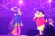 「テレビ朝日ドリームフェスティバル2012」でのきゃりーぱみゅぱみゅのライブの模様。