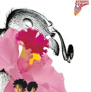 解散前のユニコーンを凝縮！10枚組6500円ボックス発売