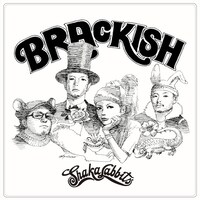 SHAKALABBITS「BRACKISH」通常盤ジャケット