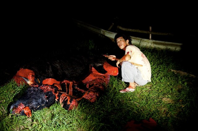 映画「太秦ヤコペッティ」キービジュアル (c) 2012 SHIMAFILMS