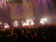 でんぱ組.inc、かせきさいだぁ＆ヒャダイン提供曲シングル化