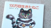 「ドキュメンタリー映画 100万回生きたねこ」のワンシーン。（C) ノンデライコ、contrall、東風