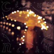 七尾旅人「サーカスナイト」を向井秀徳ら4組がリミックス