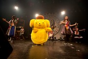 サプライズ出演したサンリオキャラクター・ポムポムプリンとコラボするBiS。