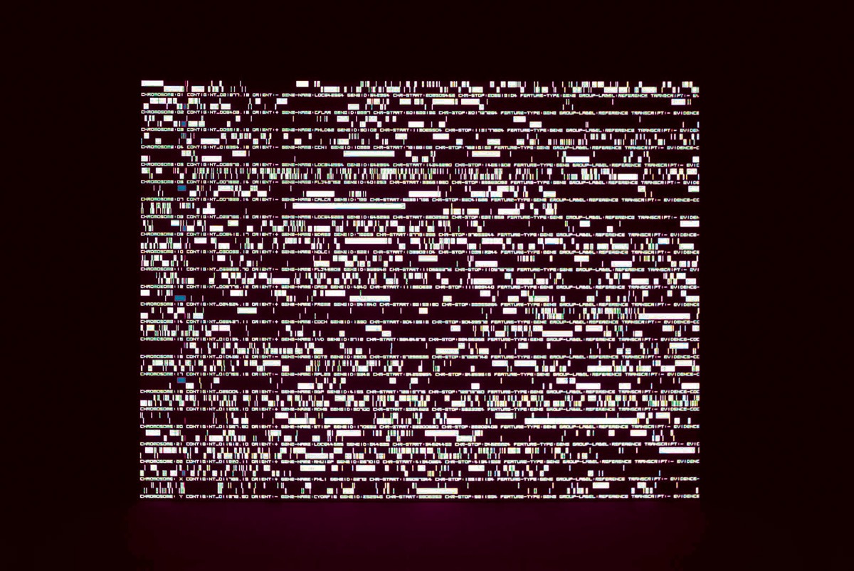 「datamatics」の様子。