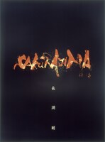 2004年にリリースされたDVD「桜島」ジャケット