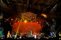 「HALLOWEEN PARTY 2012」幕張公演初日の様子。（撮影：今元秀明、田中和子）