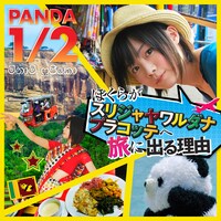 PANDA 1/2「ぼくらがスリジャヤワルダナプラコッテへ旅に出る理由」ジャケット