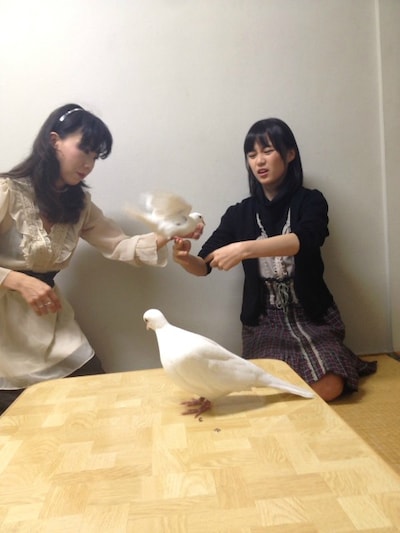 「制服のマネキン」初回限定盤DVDより、苦手な鳥の克服に挑む生田絵梨花。