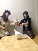 「制服のマネキン」初回限定盤DVDより、苦手な鳥の克服に挑む生田絵梨花。