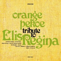 orange pekoe「TRIBUTE TO ELIS REGINA」CD盤ジャケット