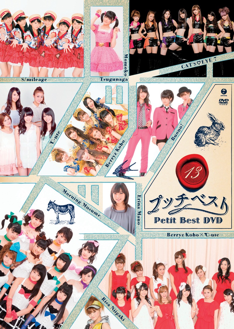 V.A.「プッチベスト 13 DVD」ジャケット