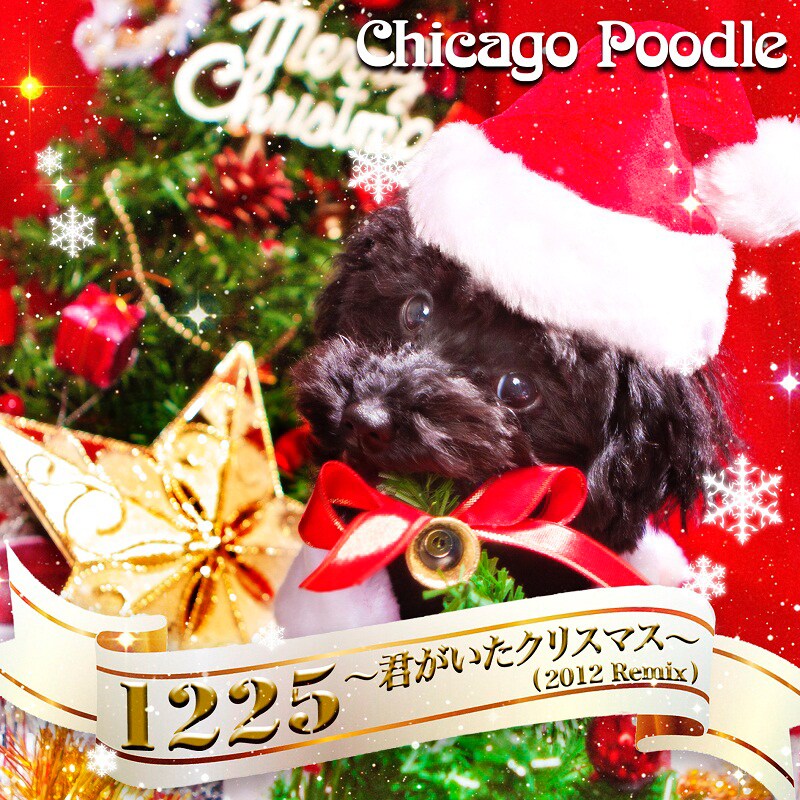 Chicago Poodle「1225 ～君がいたクリスマス～（2012 Remix）」ジャケット