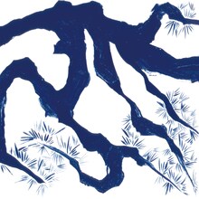 BRON-K「松風」ジャケット