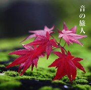 宮本笑里、押尾ら参加の日テレ「心の都へスペシャル」CD