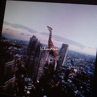 1月にリリースされた[Champagne]の最新シングル「starrrrrrr / 涙がこぼれそう」ジャケット。