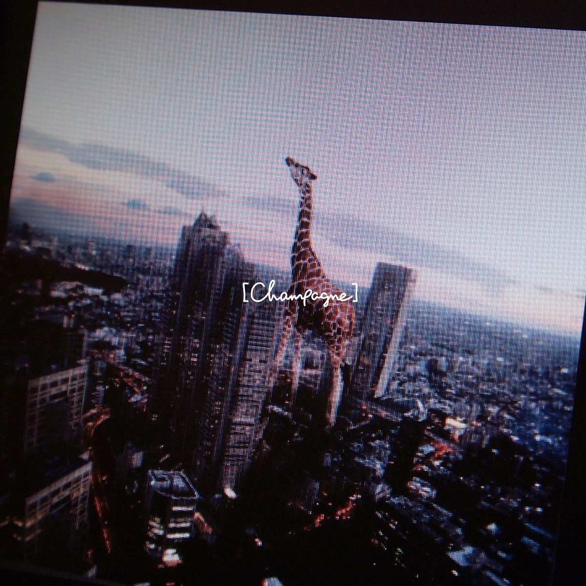 [Champagne]「starrrrrrr / 涙がこぼれそう」ジャケット