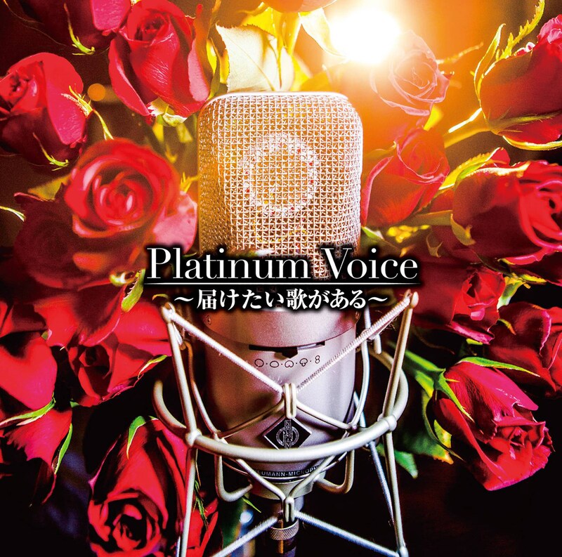 V.A.「Platinum Voice～届けたい歌がある～」ジャケット