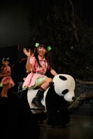 廣田あいかがパンダに乗ってステージを移動するシュールな演出に会場は騒然。