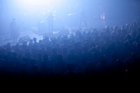 THE NOVEMBERS（撮影：川崎龍弥）