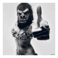 THE COLLECTORS「99匹目のサル」初回限定盤