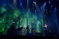 「HIROKO SHIMABUKURO★X'mas Live 2012」の模様。