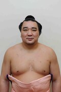 日馬富士公平