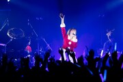 写真は12月25日のライブの模様。