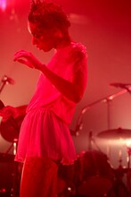 女王蜂（Photo by 岩根愛）