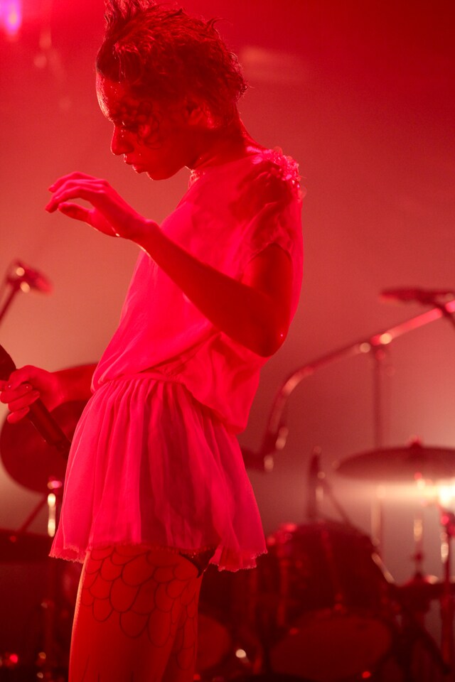 女王蜂（Photo by 岩根愛）