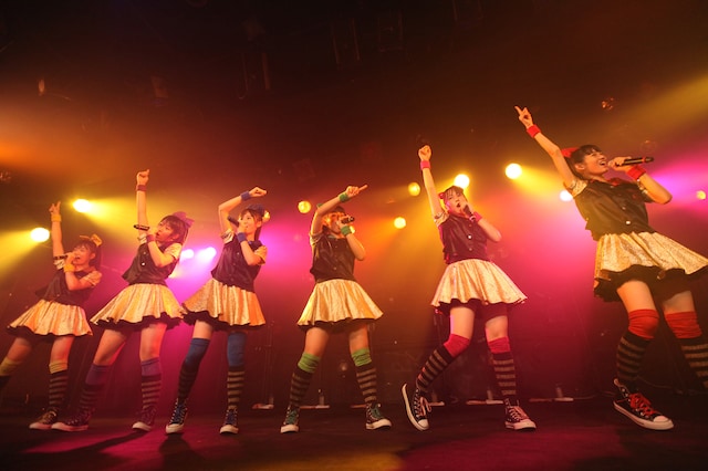 写真は愛知・名古屋CLUB QUATTRO公演「初ワンマンライブ（決）～君への想い時期尚早～」の様子（撮影：アラキシン）。