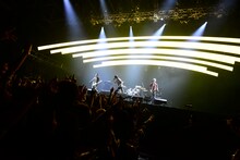 ザ・クロマニヨンズ