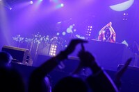 石毛輝（the telephones）