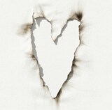 Cathy lost one's apricot yesterday「A PILOT ON THE EDGE」ジャケット