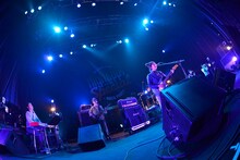 bonobos（撮影：古渓一道）