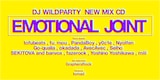DJ WILDPARTY「Emotional Joint」告知フライヤー